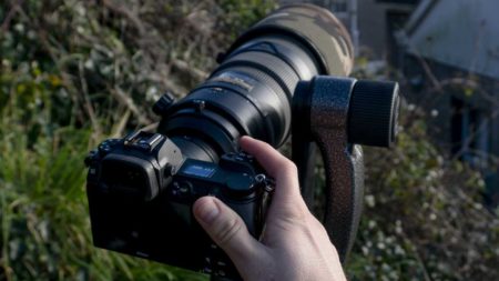 DSLR or mirrorless for Wildlife Photography?