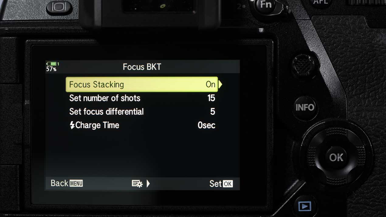 Olympus OM-D E-M1X review: Focus bracketing Focus stacking